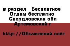  в раздел : Бесплатное » Отдам бесплатно . Свердловская обл.,Артемовский г.